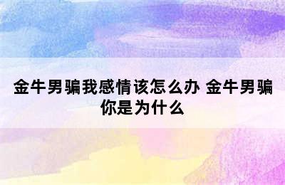 金牛男骗我感情该怎么办 金牛男骗你是为什么